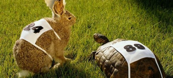 Windykator skuteczny czy efektywny?