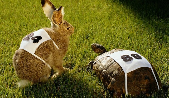 Windykator skuteczny czy efektywny?