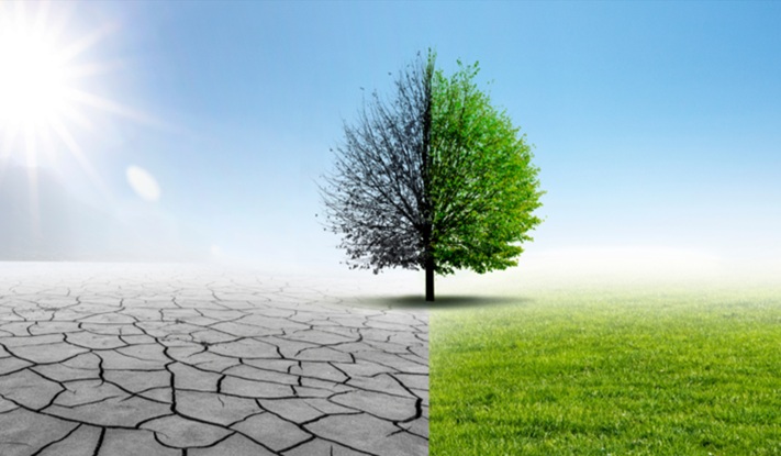 Podcast, odcinek 2: Pięć windykacyjnych mitów blokujących rozwój